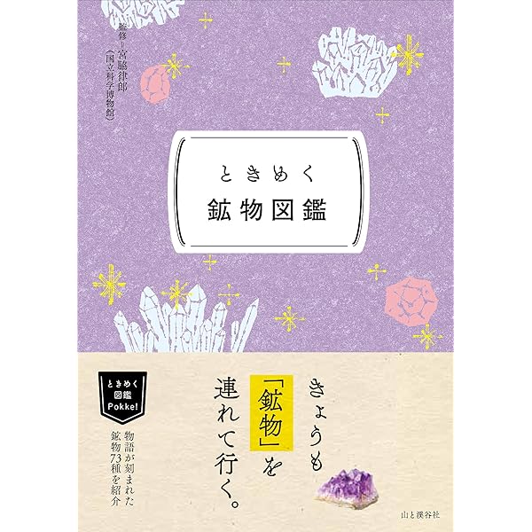 宝石宝飾大事典　1996年購入 宝石宝飾大事典 1996年購入 - メルカリ